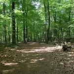 Шале 30, #hygiene #airport Eindhoven #airco #bosrijk #hiking & Biking #efteling #safaripark *