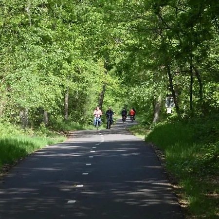 Chalet 30 # Hygiene # Airport Eindhoven # Airco # Bosrijk # Hiking & Biking # Efteling # Safaripark Oisterwijk