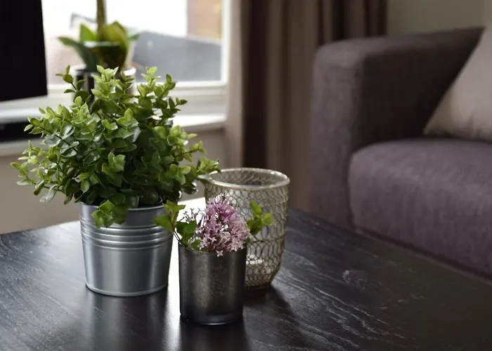 30 # Hygiene # Airport Eindhoven # Airco # Bosrijk # Hiking & Biking # Efteling # Safaripark *