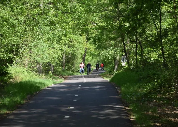 Σαλέ 30 # Hygiene # Airport Eindhoven # Airco # Bosrijk # Hiking & Biking # Efteling # Safaripark Oisterwijk