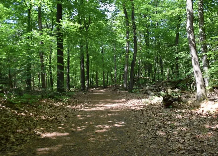 Domek alpejski 30 # Hygiene # Airport Eindhoven # Airco # Bosrijk # Hiking & Biking # Efteling # Safaripark *